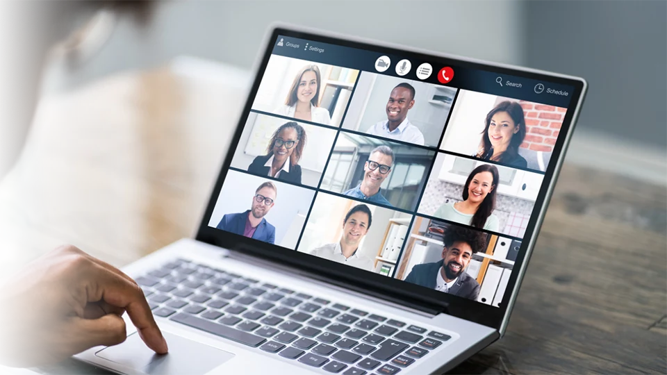 Online webinar session